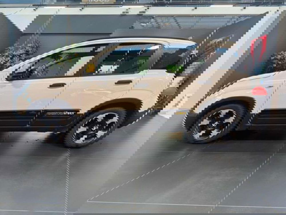 Fiat Panda Cross usata a Vercelli (4)