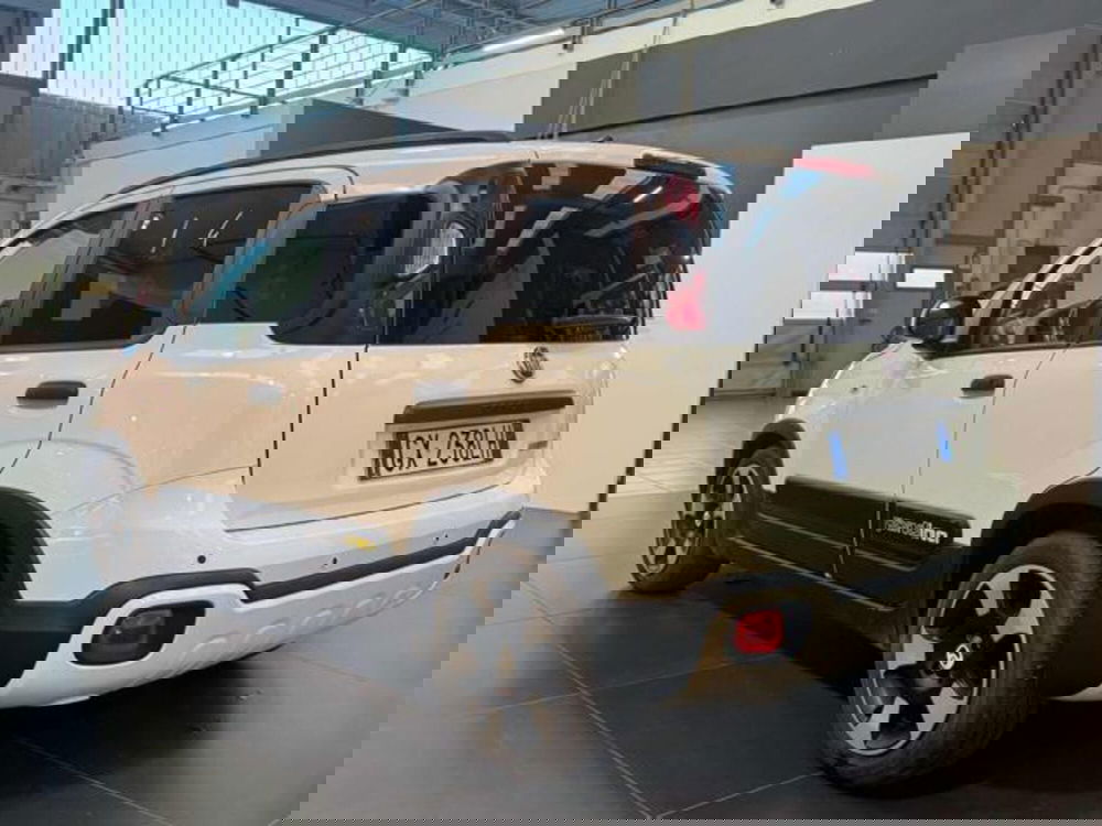 Fiat Panda Cross usata a Vercelli (5)