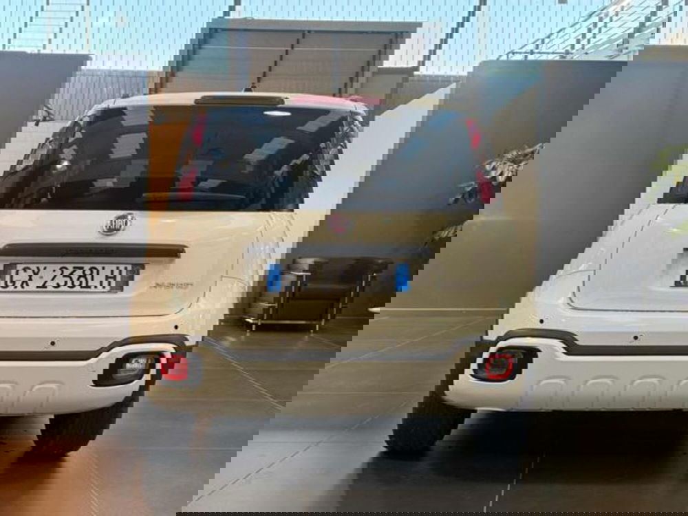 Fiat Panda Cross usata a Vercelli (6)