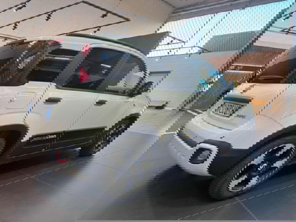 Fiat Panda Cross usata a Vercelli (8)