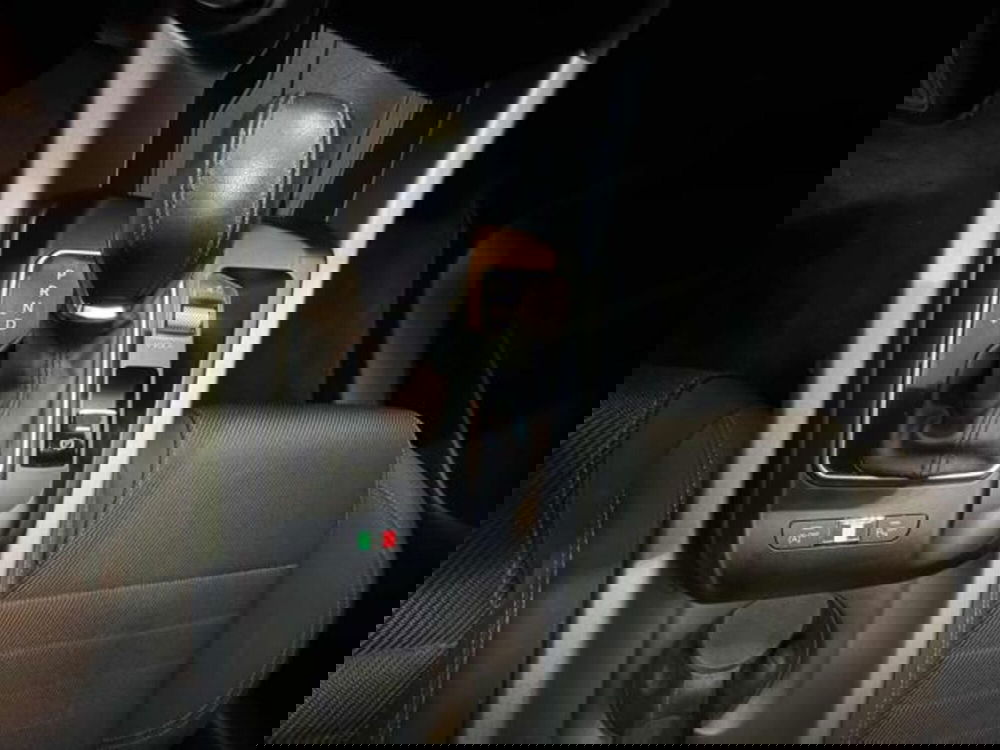 Alfa Romeo Tonale usata a Vercelli (14)