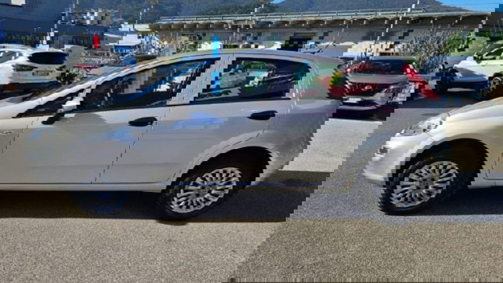 Fiat Punto usata a Lucca (7)