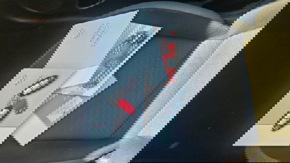 Nissan Juke usata a Lucca (8)