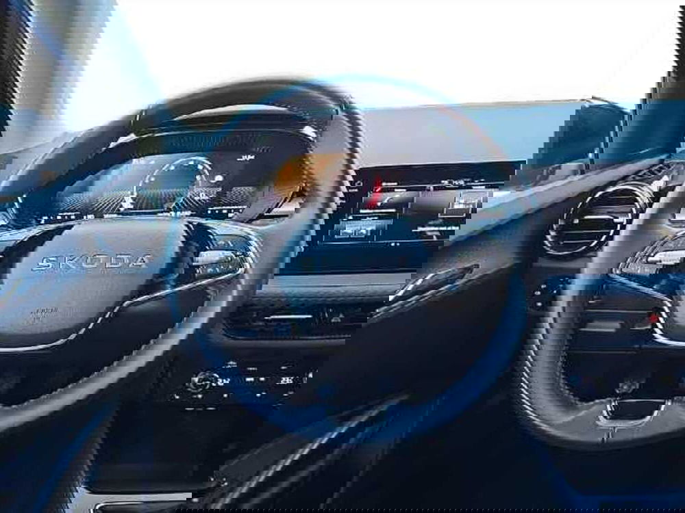 Skoda Fabia usata a Lecco (12)