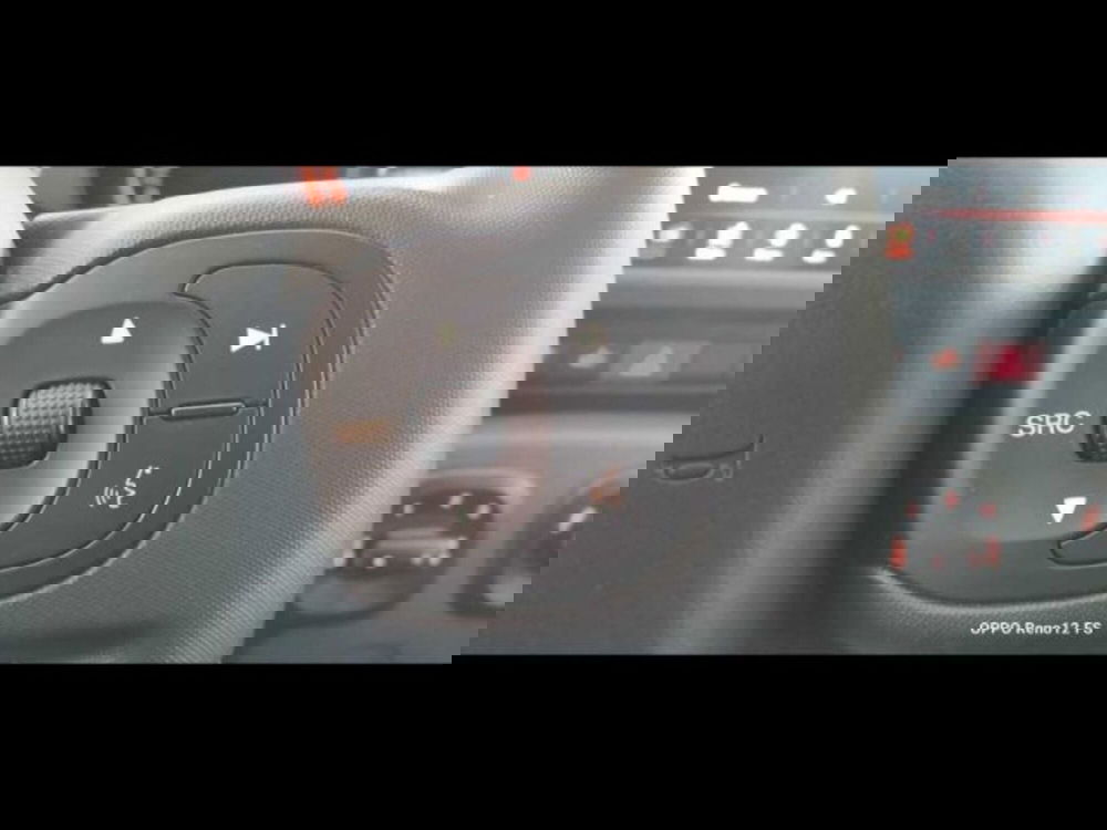 Fiat Panda Cross usata a Caltanissetta (13)