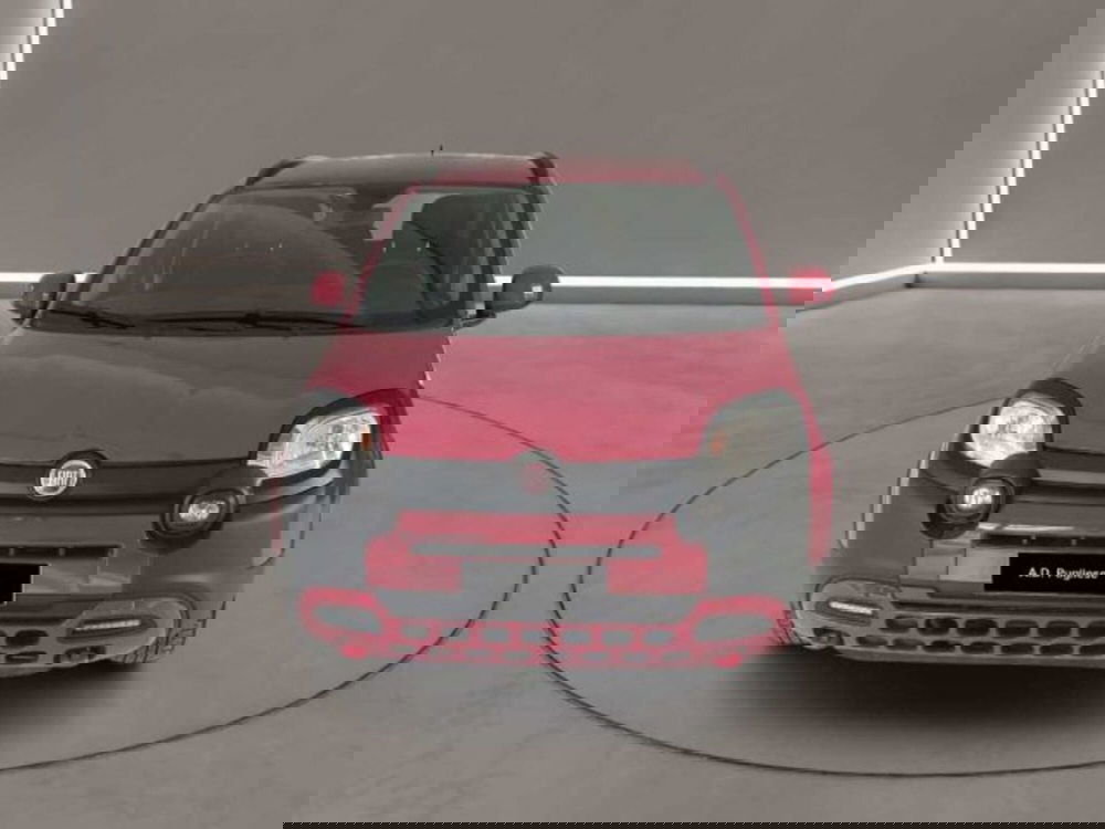 Fiat Panda Cross usata a Caltanissetta (2)