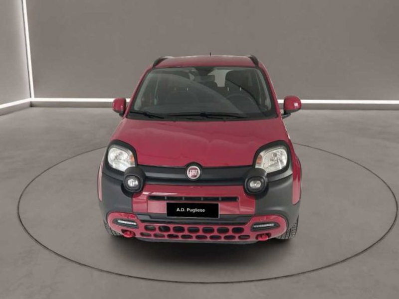 Fiat Panda Cross usata a Caltanissetta (2)