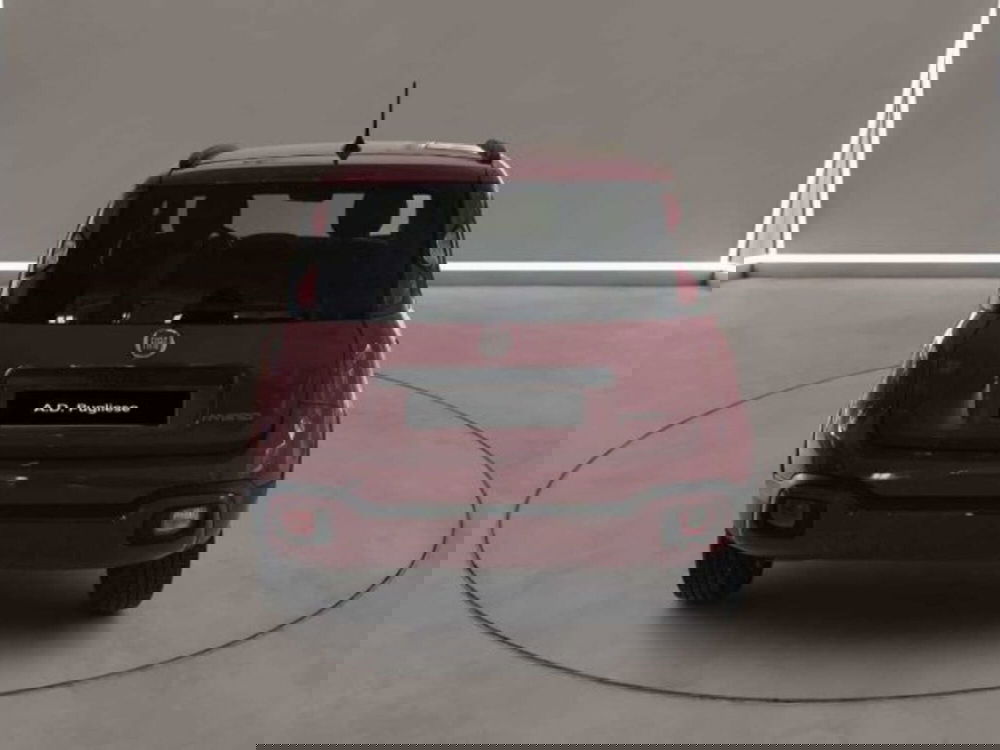 Fiat Panda Cross usata a Caltanissetta (4)