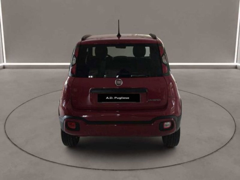 Fiat Panda Cross usata a Caltanissetta (4)