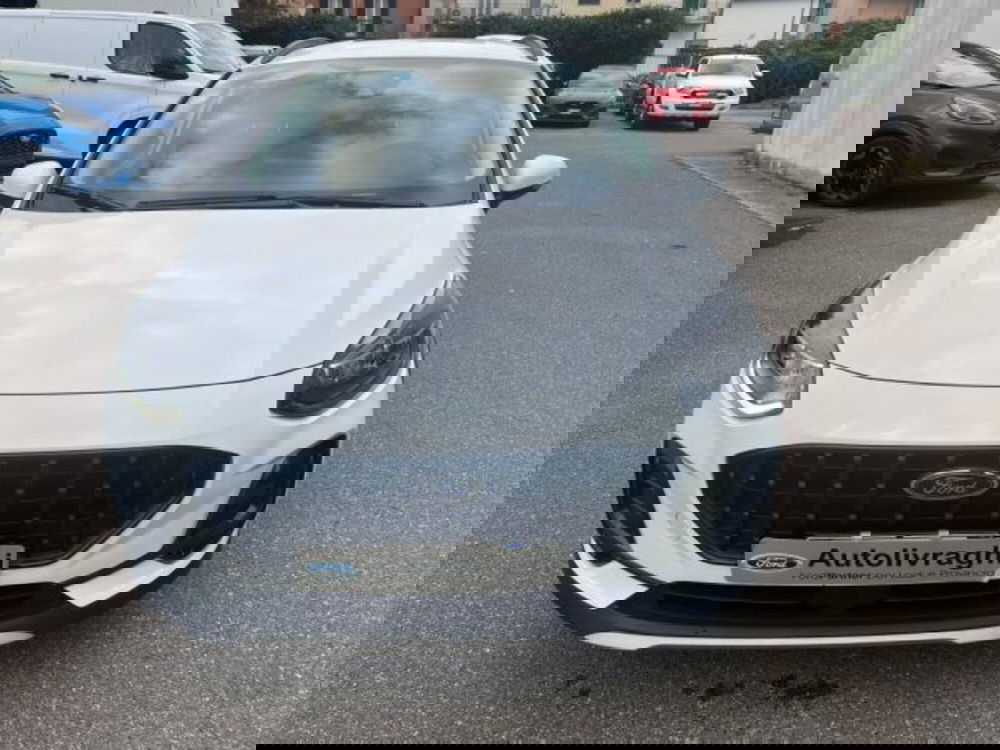 Ford Fiesta usata a Lodi (2)