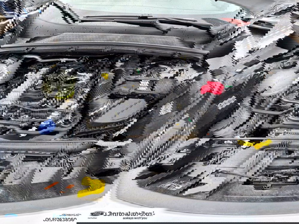 Ford Puma usata a Roma (12)