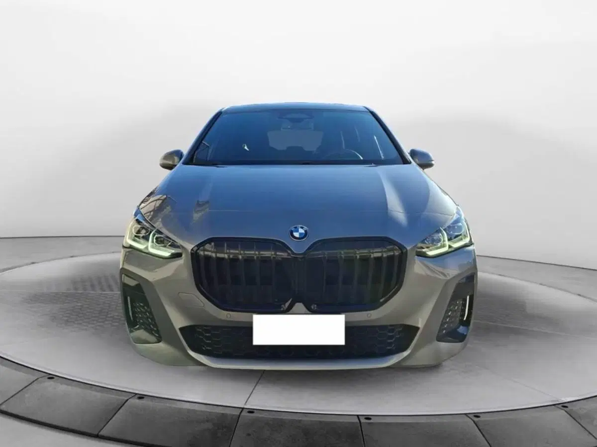 BMW Serie 2 Active Tourer usata a Torino (2)