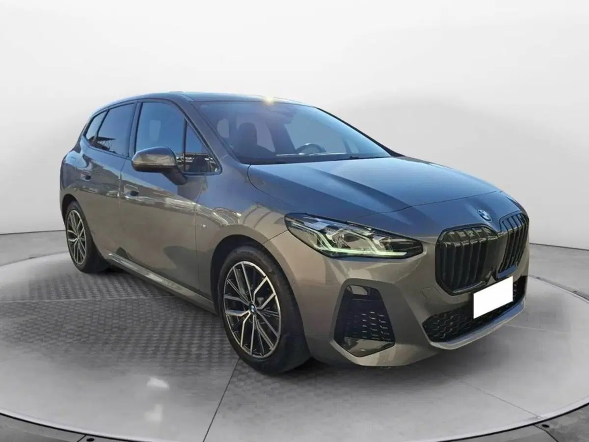BMW Serie 2 Active Tourer usata a Torino (3)