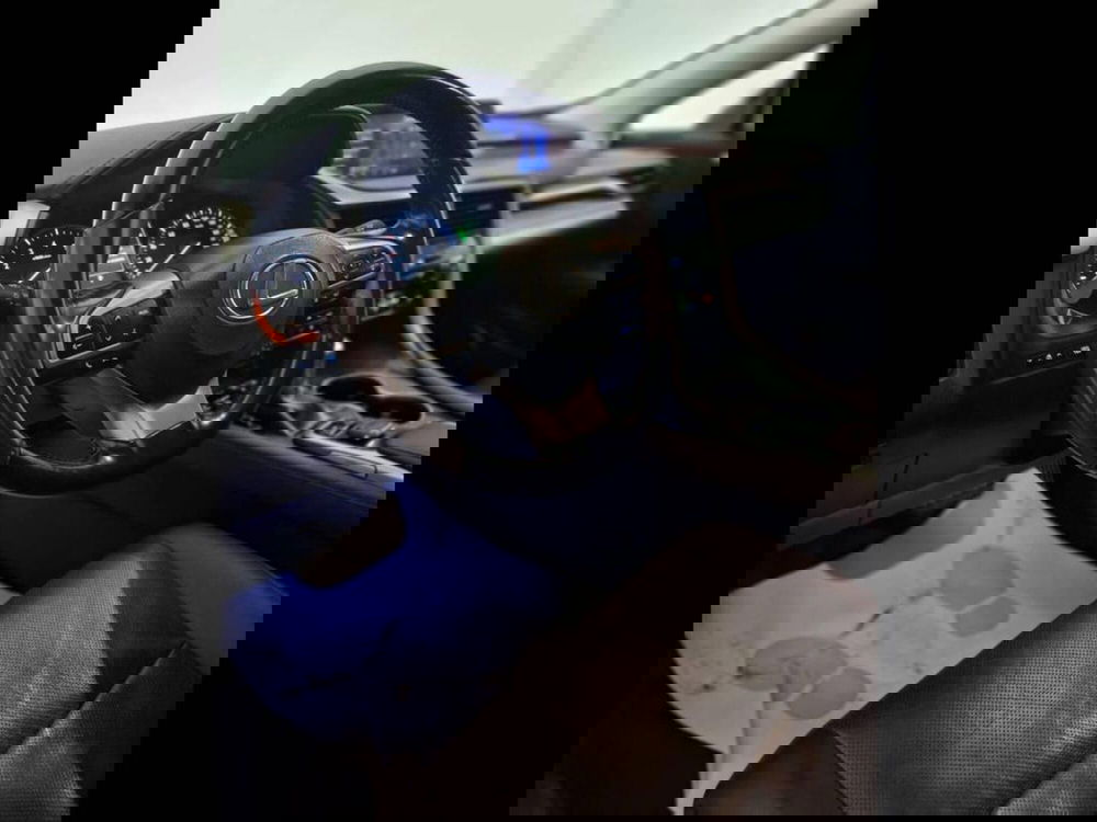 Lexus RX usata a Torino (10)