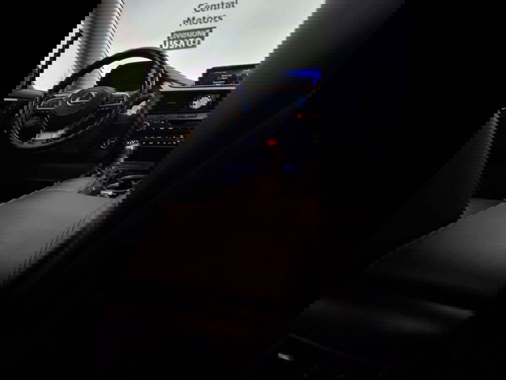 Lexus RX usata a Torino (11)