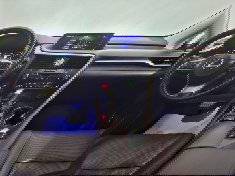 Lexus RX usata a Torino (12)