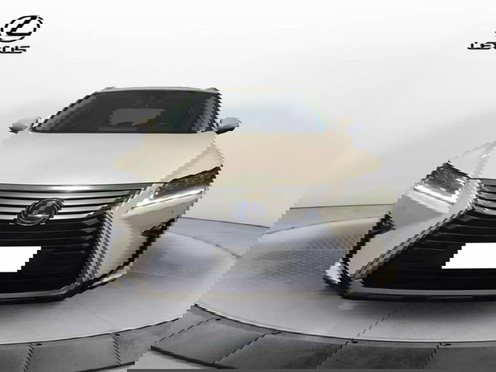 Lexus RX usata a Torino (2)