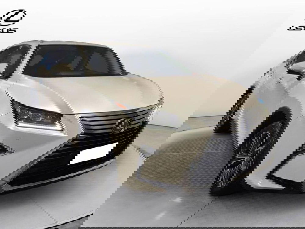 Lexus RX usata a Torino (3)