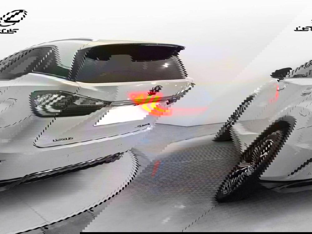 Lexus RX usata a Torino (4)