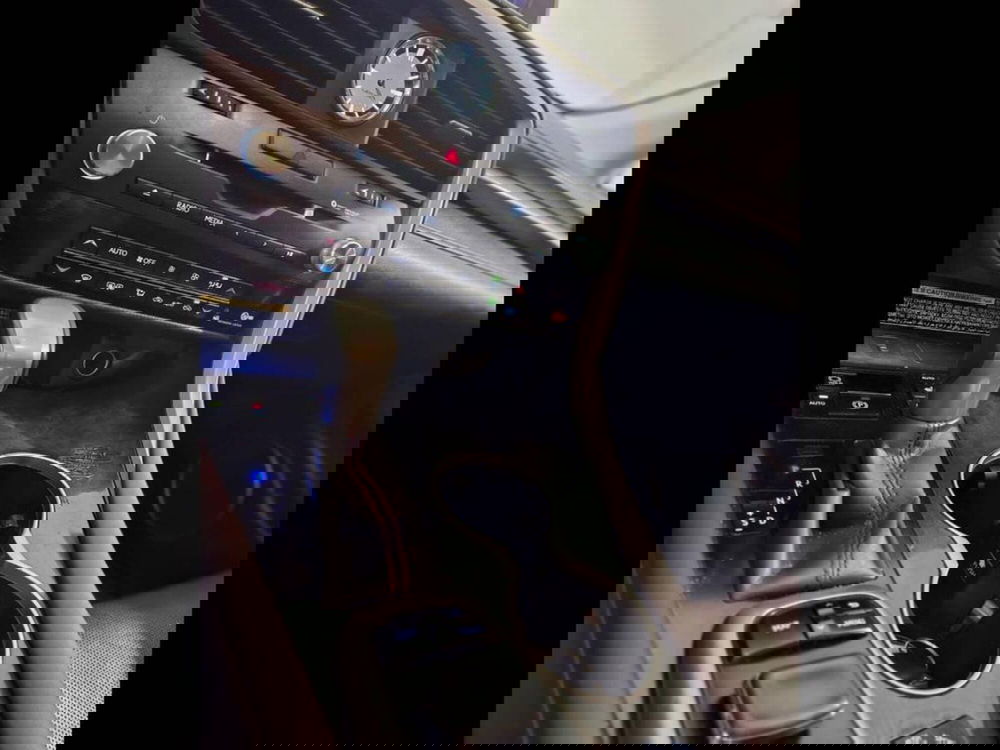 Lexus RX usata a Torino (8)