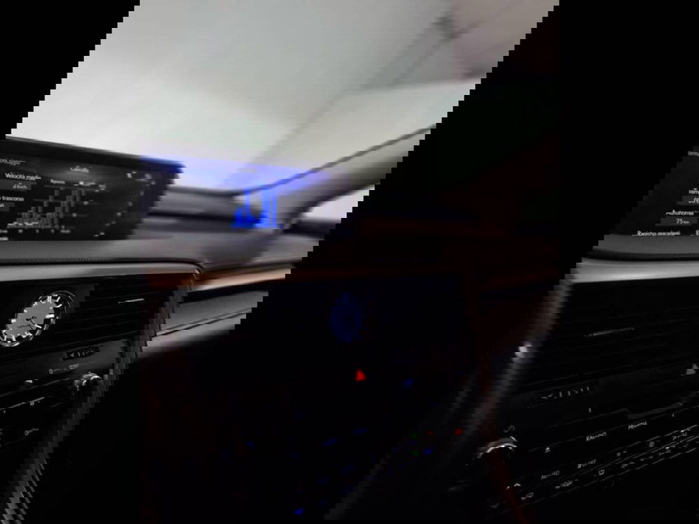 Lexus RX usata a Torino (9)