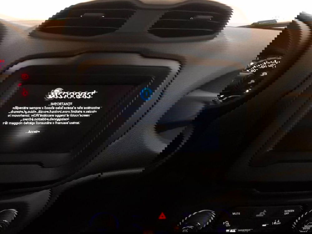 Jeep Renegade usata a Torino (10)