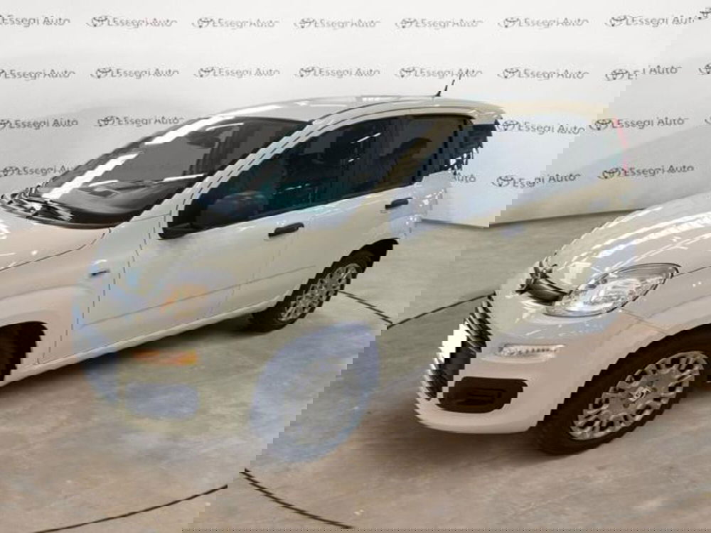 Fiat Panda nuova a Vercelli