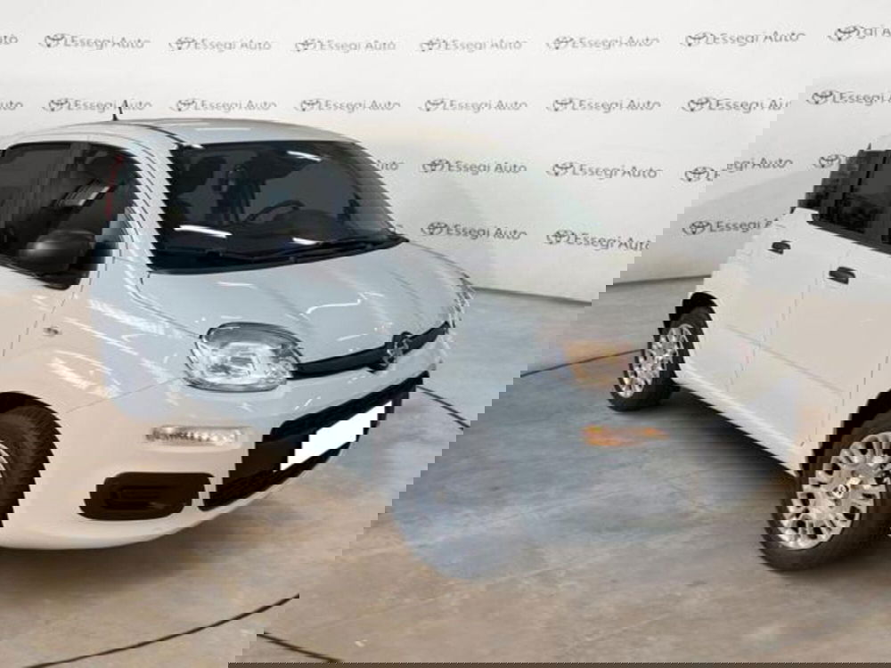 Fiat Panda nuova a Vercelli (3)