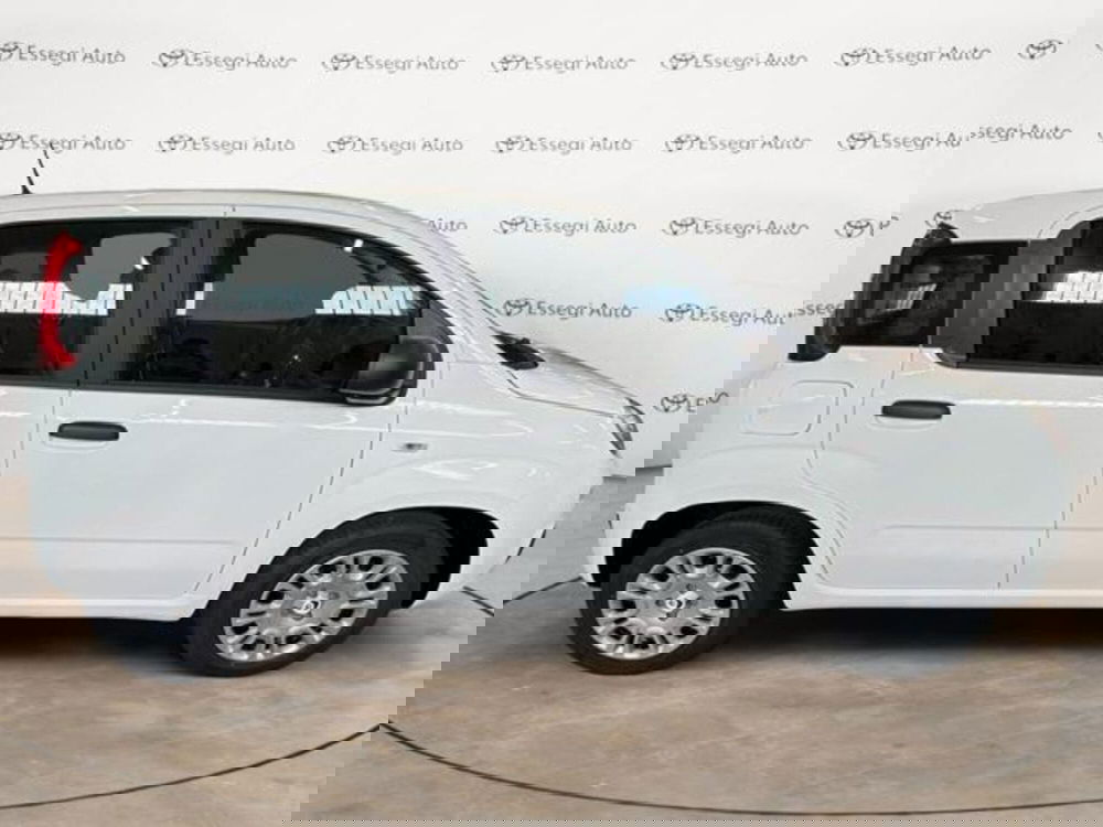 Fiat Panda nuova a Vercelli (4)