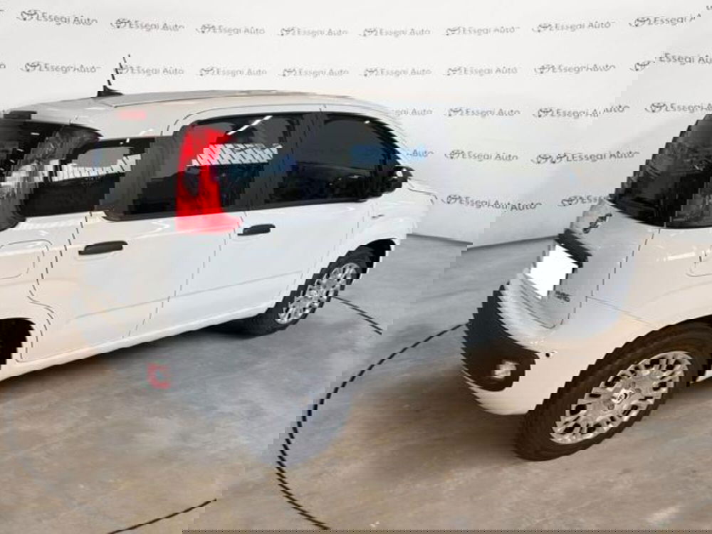 Fiat Panda nuova a Vercelli (5)