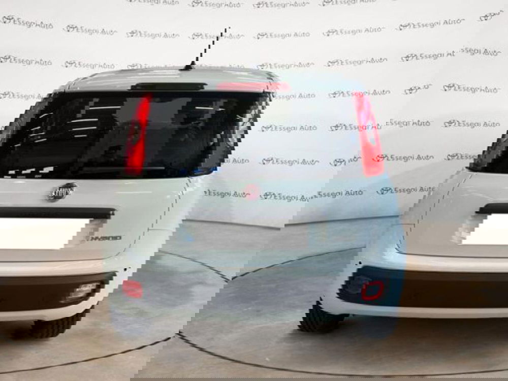 Fiat Panda nuova a Vercelli (6)