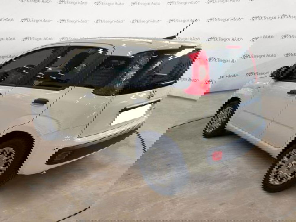 Fiat Panda nuova a Vercelli (7)