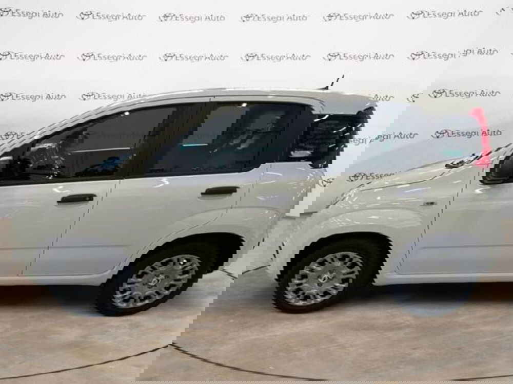 Fiat Panda nuova a Vercelli (8)