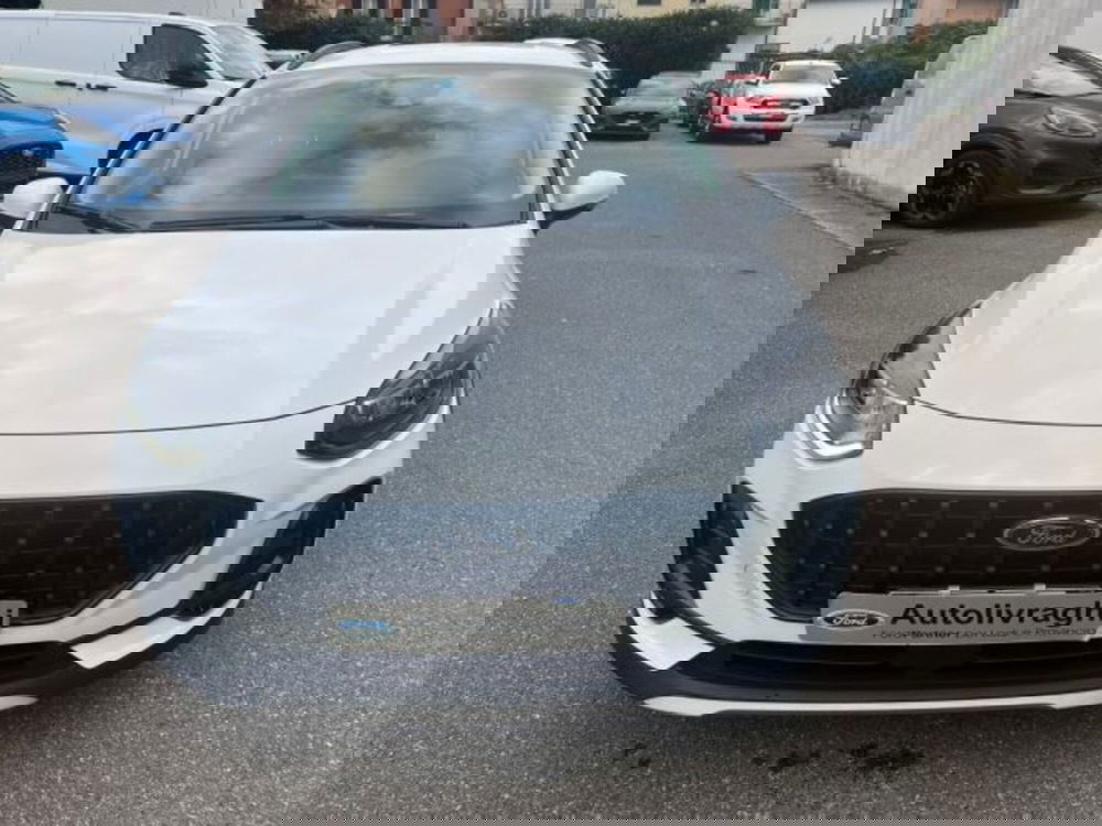 Ford Fiesta usata a Lodi (2)