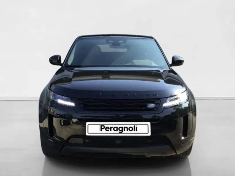 Land Rover Range Rover Evoque usata a Siena (8)