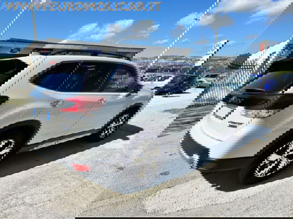 Subaru Forester usata a Campobasso (10)