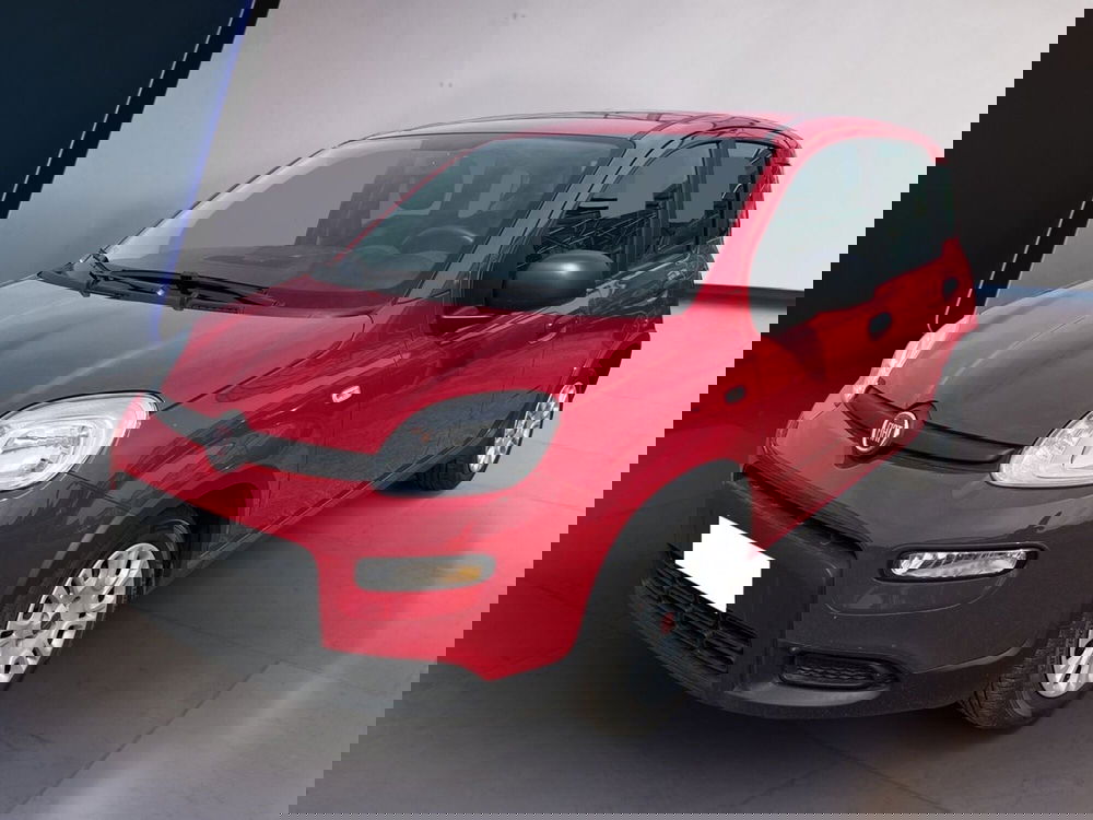 Fiat Panda usata a Torino (2)