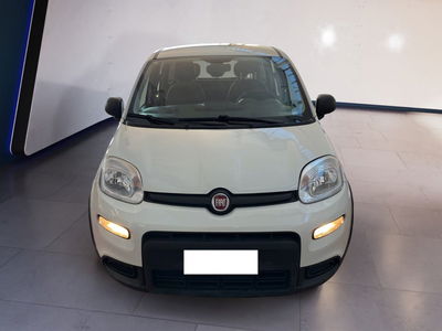 Fiat Panda 1.0 firefly hybrid s&amp;s 70cv 5p.ti del 2022 usata a Torino