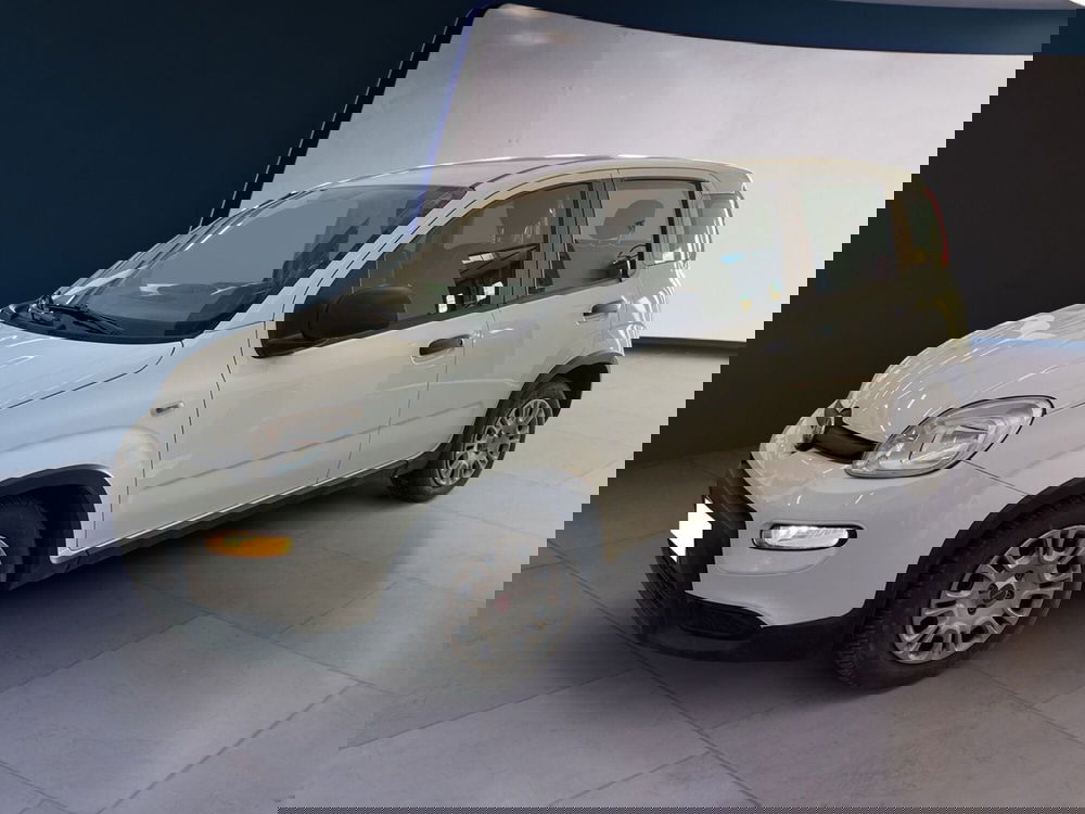 Fiat Panda usata a Torino (2)