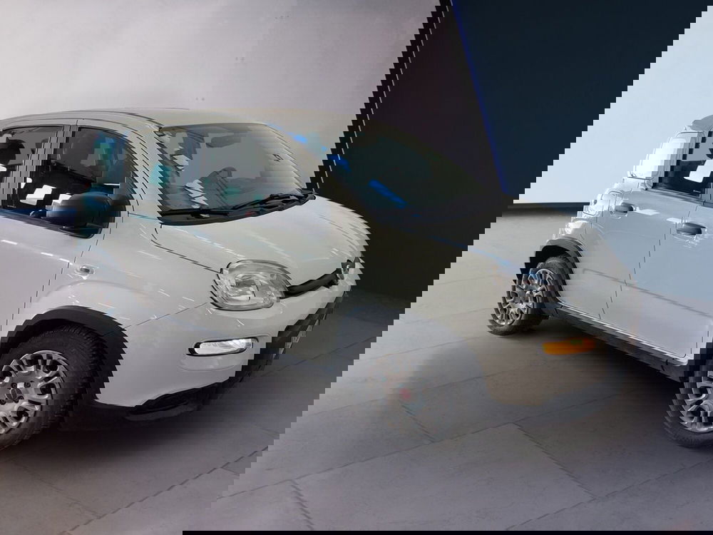 Fiat Panda usata a Torino (3)