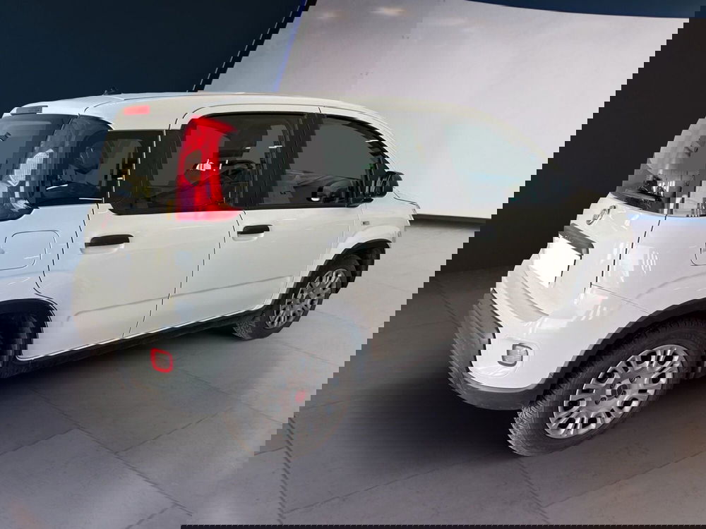 Fiat Panda usata a Torino (4)