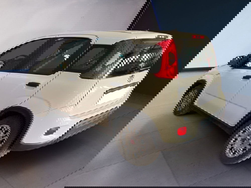 Fiat Panda usata a Torino (6)