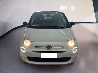 Fiat 500 1.2 EasyPower Cult del 2023 usata a Torino