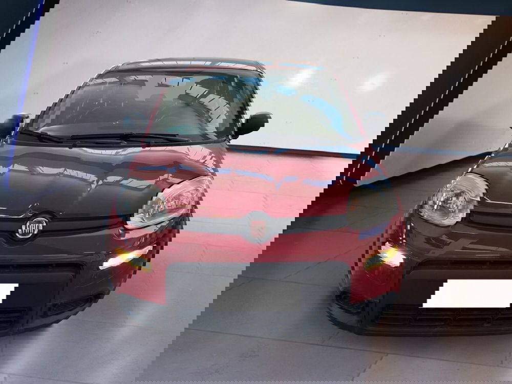 Fiat Panda usata a Torino