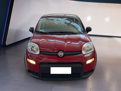Fiat Panda 1.0 firefly hybrid s&amp;s 70cv 5p.ti del 2024 usata a Torino
