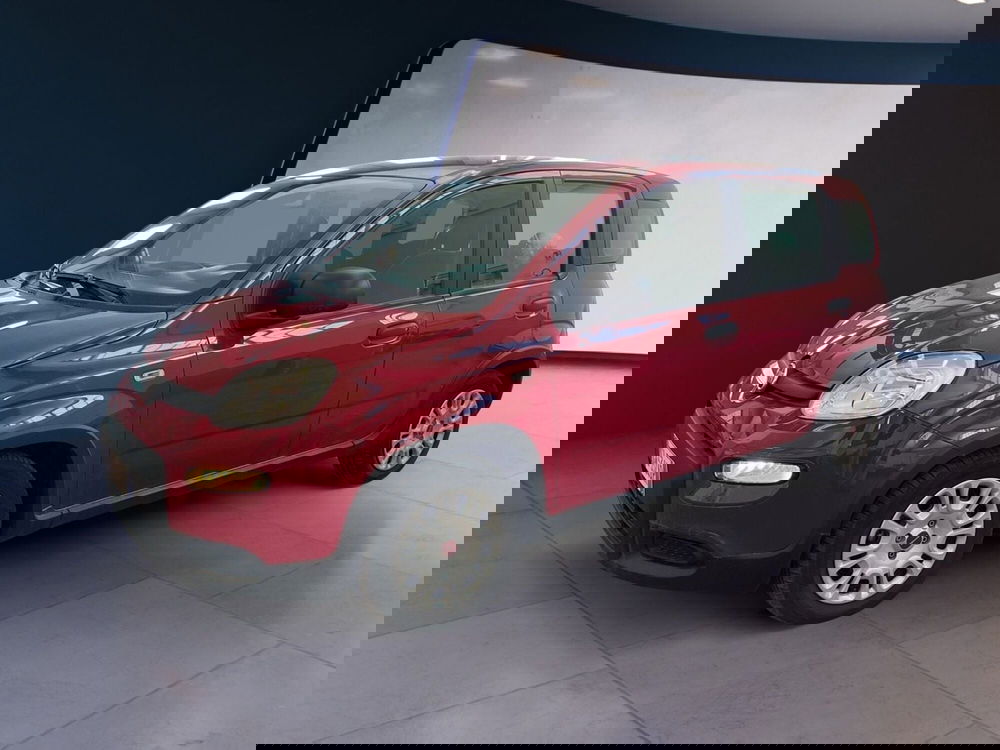 Fiat Panda usata a Torino (2)