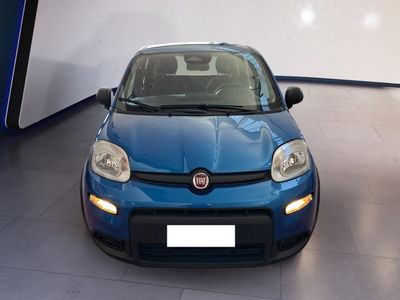 Fiat Panda Cross Cross 1.0 FireFly S&amp;S Hybrid del 2024 usata a Torino