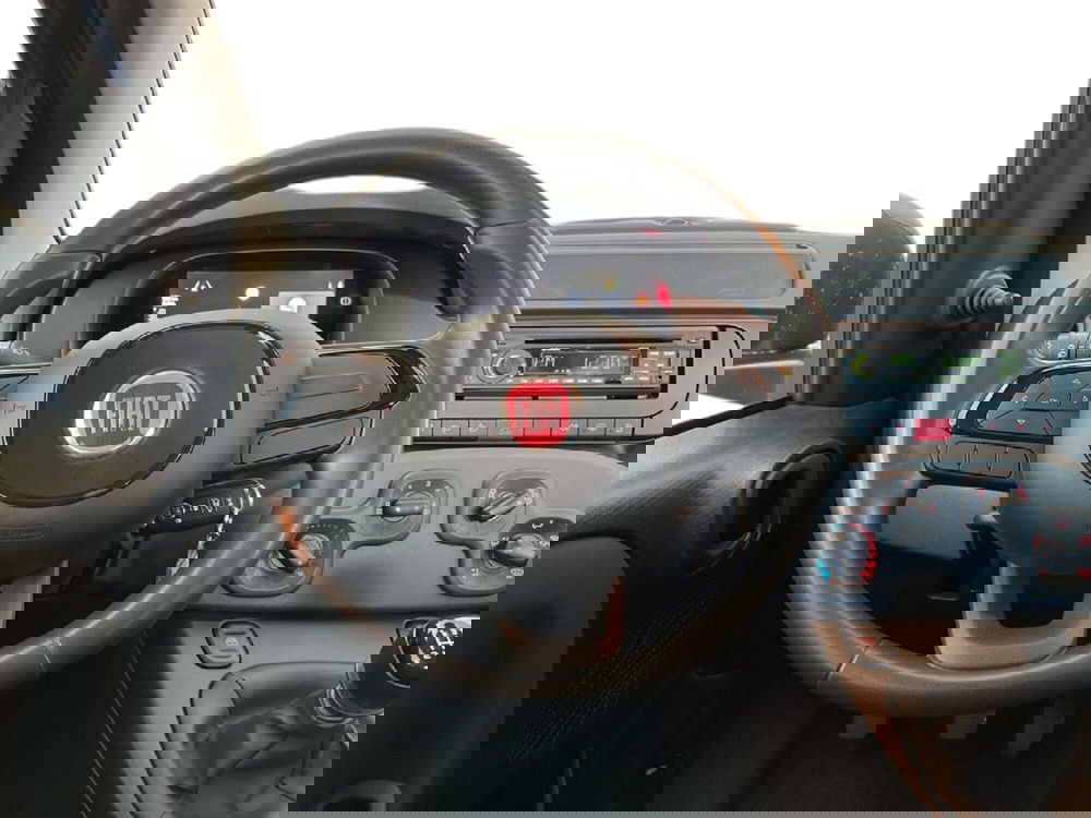 Fiat Panda Cross usata a Torino (11)