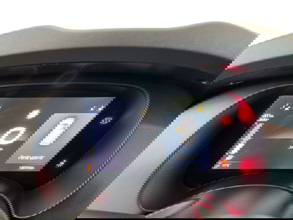 Fiat Panda Cross usata a Torino (14)