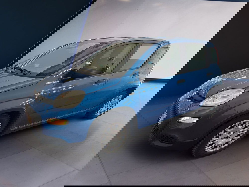 Fiat Panda Cross usata a Torino (2)